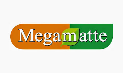 MegaMate